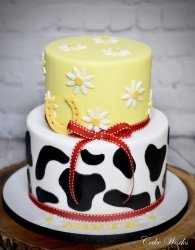 Daisies and Cow Print