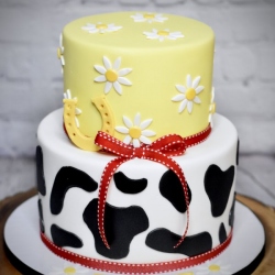 Daisies and Cow Print