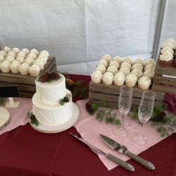 Rustic theme cake and cupcakes