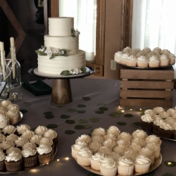 Simple elegant cake and cupcakes