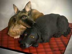 For the Love of Dogs