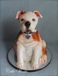 Bulldog puppy