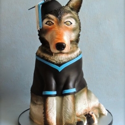 Graduation Wolf