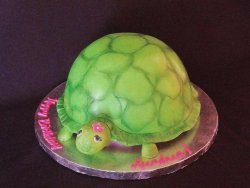 Turtle