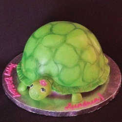 Turtle