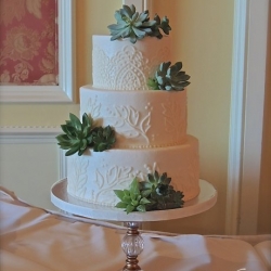 Buttercream Lace Piping and Succulents