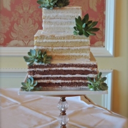 Ombre Naked Cake with Succulents