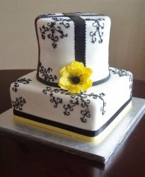 black-and-white-with-yellow-anemone-large