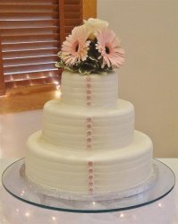 blush-buttons-and-gerber-daisies-large
