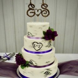 Ombre Shades of Purple on Birch