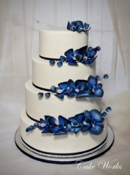 Stunning Blue Orchids